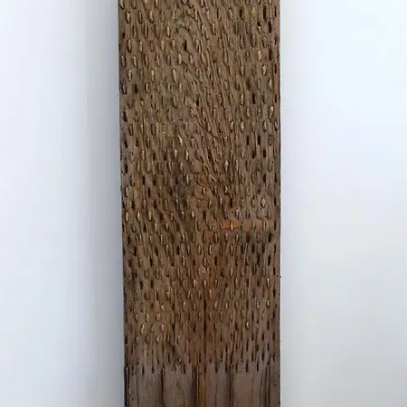 Maison Eugenie Διαμέρισμα Bagnères-de-Luchon